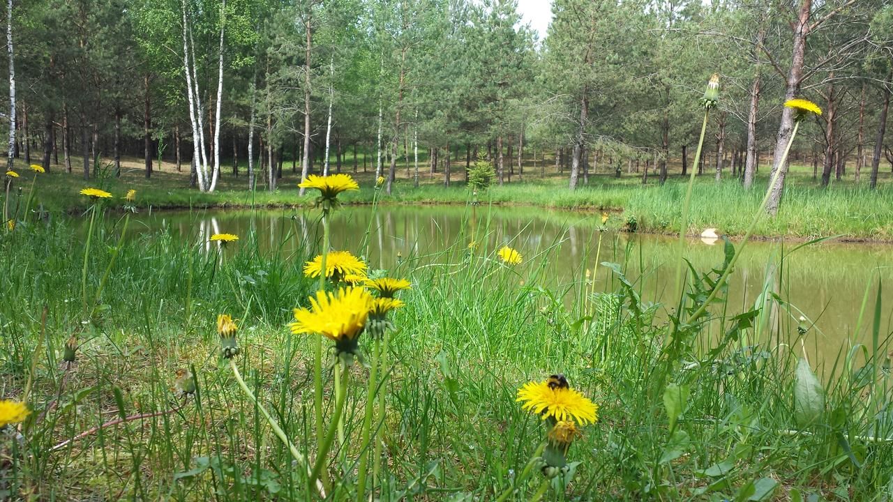 Загородные дома Kankorėžis Abromiškis-41